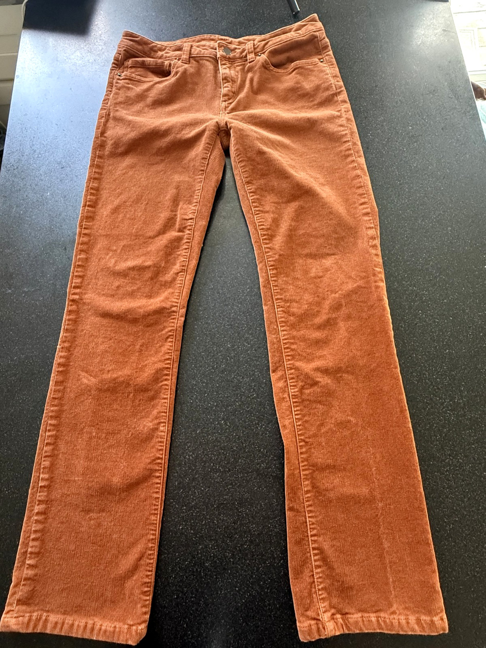 Patagonia Corduroy Organic CottonPants Brown Straight Leg Full Length Womens 30